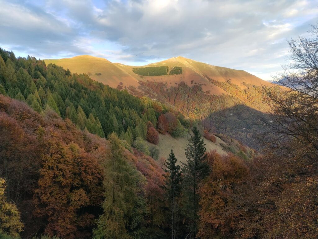 nel bosco è già buio, sulle cime invece splende ancora il sole