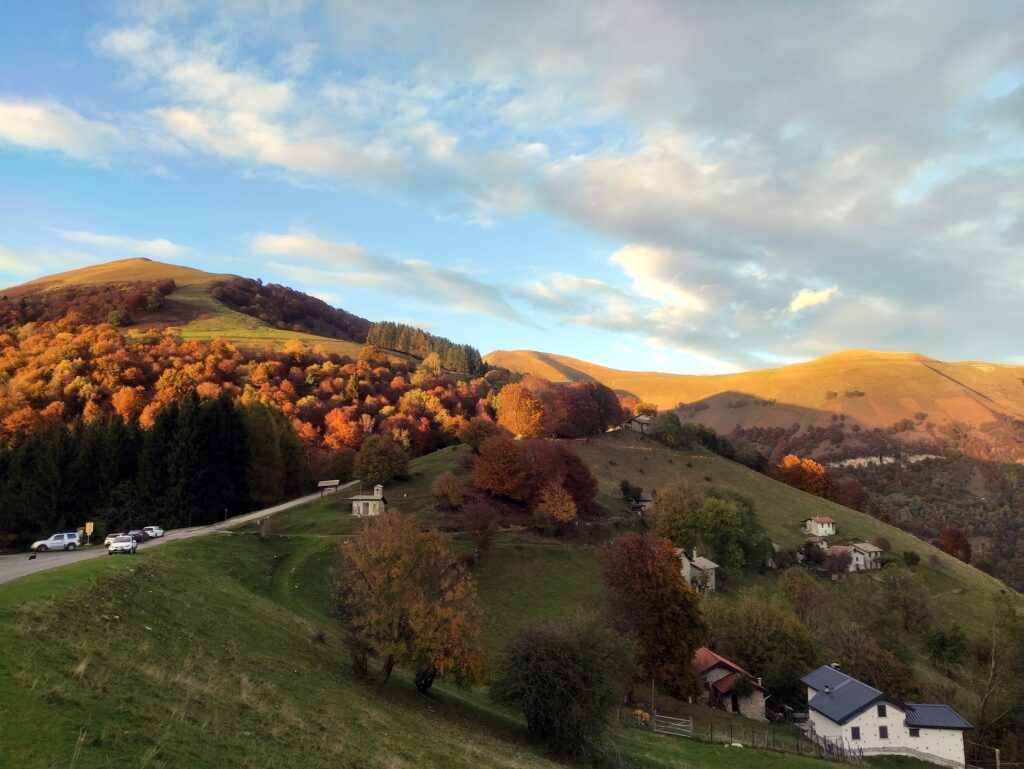 quasi il tramonto, il bosco si infiamma