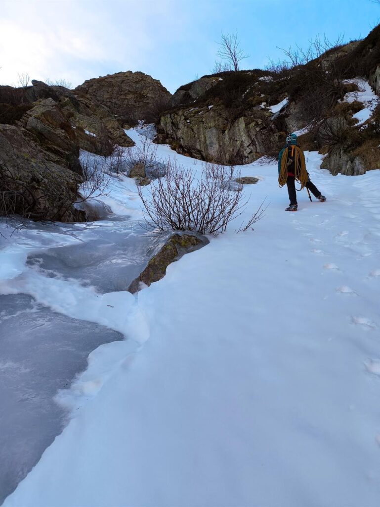 Erica nel primo tratto di canale