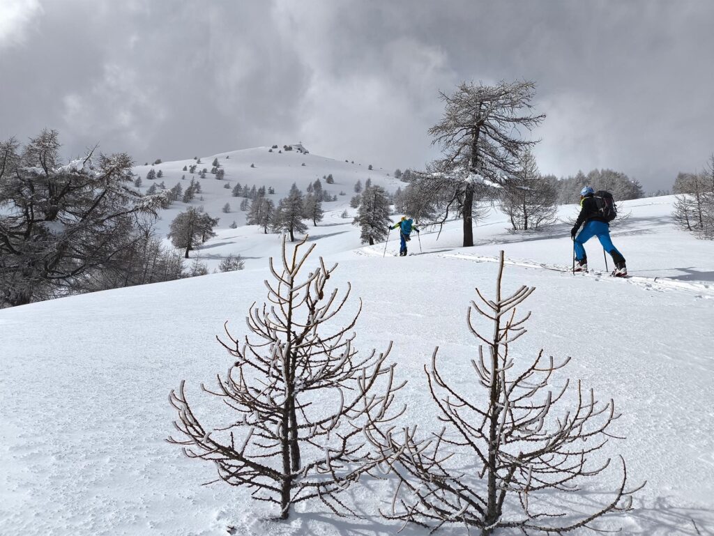 La cima è dritta di fronte ma il pendio sotto la cima va assolutamente evitato in queste condizioni di innevamento