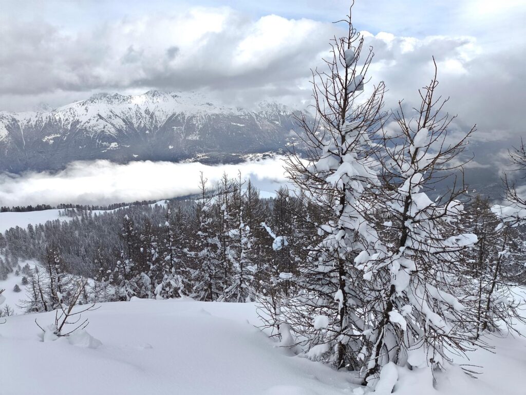 Torniamo verso la cresta dove entriamo in questo bellissimo boschetto che regala scorci fantastici