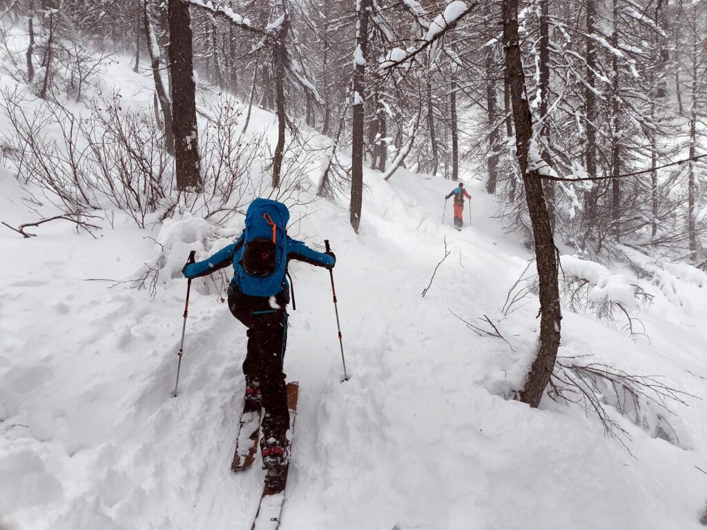 In salita nel bosco carico di neve nuova