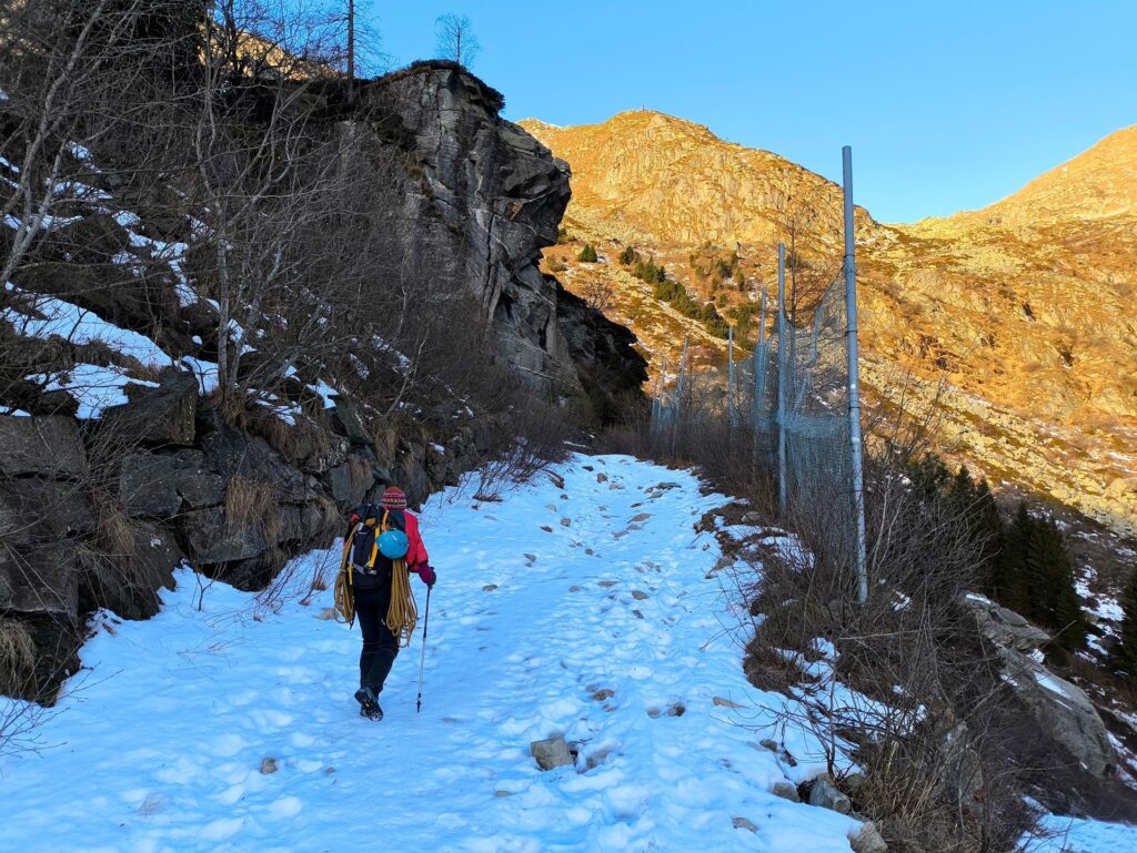 Erica lungo la salita. Dovremo raggiungere quel &quot;passo&quot; che si vede sullo sfondo