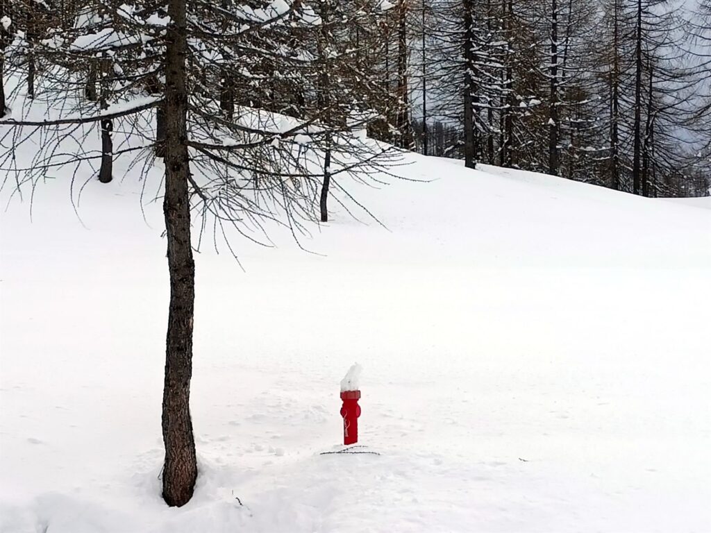 Trova l&#039;intruso!