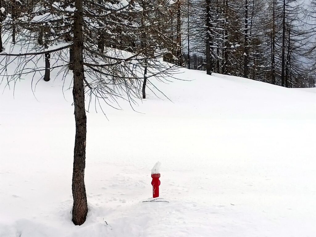 Trova l'intruso!