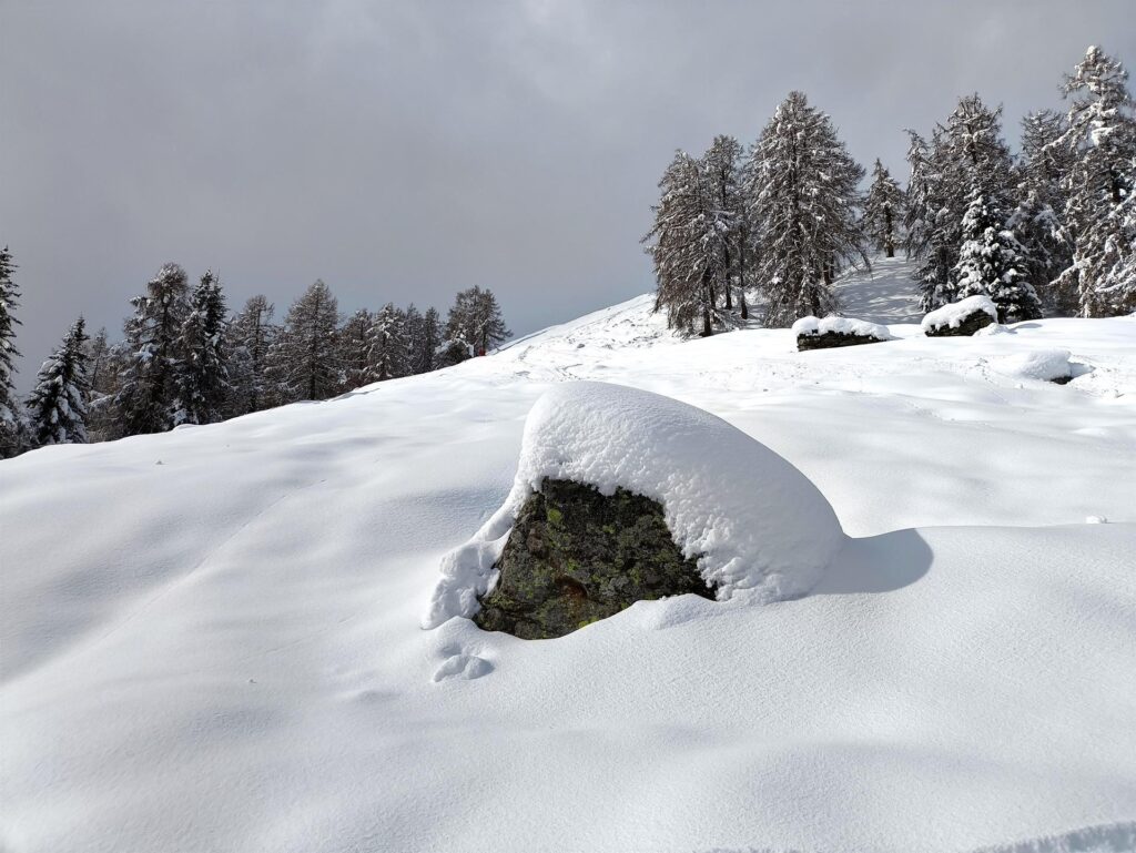 ci saranno 50-60 cm di neve nuova appena caduta....soffice e leggera