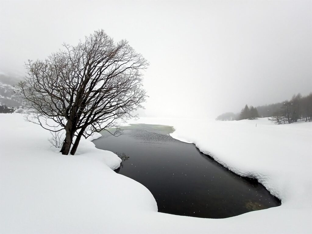 porzioni di lago ancora libere: nel frattempo, nevica