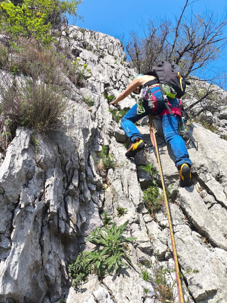Erica all&#039;attacco di L3 sulla Livera