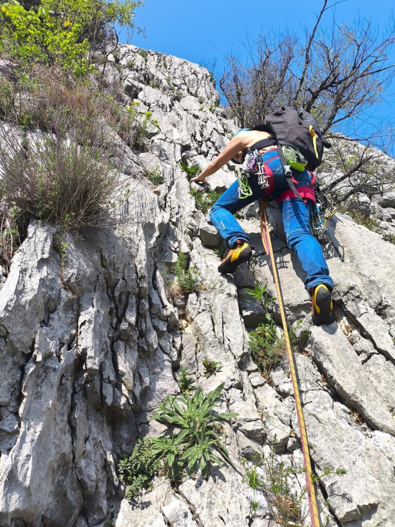 Erica all'attacco di L3 sulla Livera