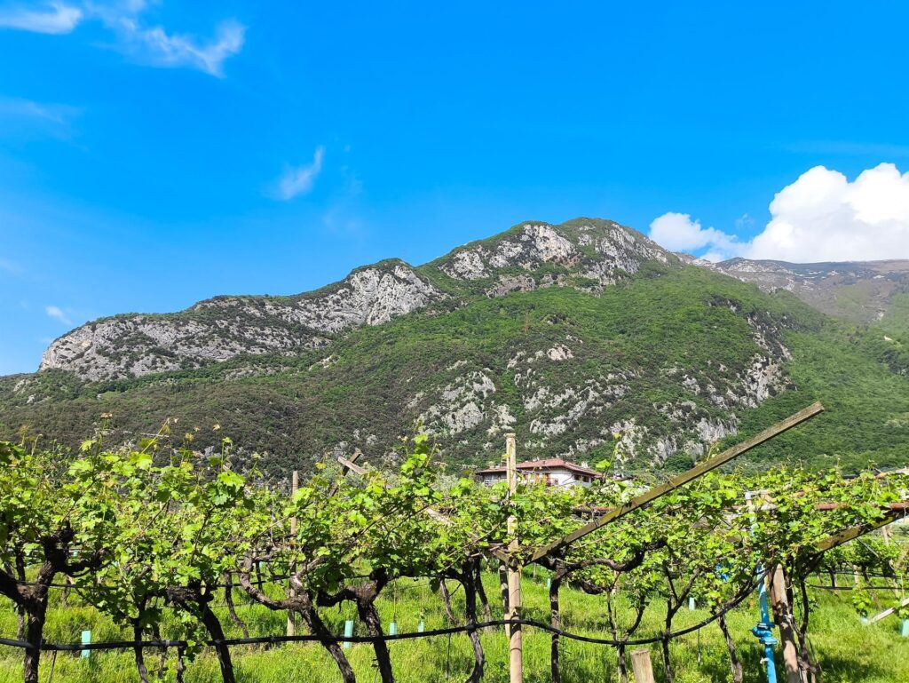 La vista delle pareti del Pezol da Bolognano