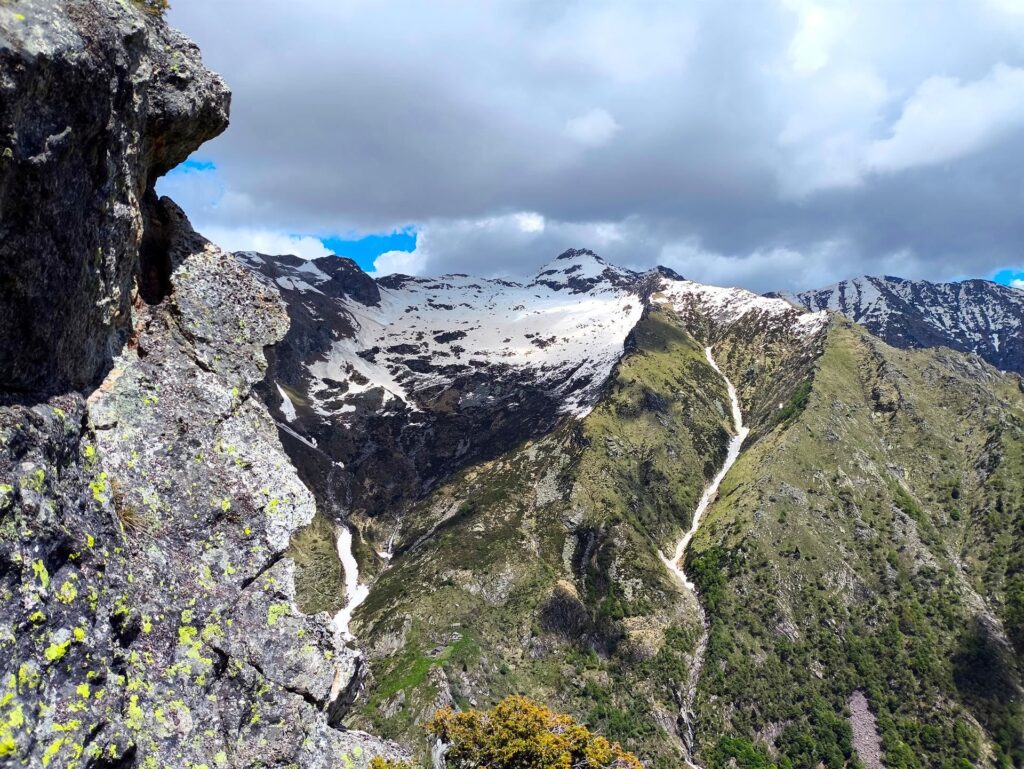 bello qui: molto wild
