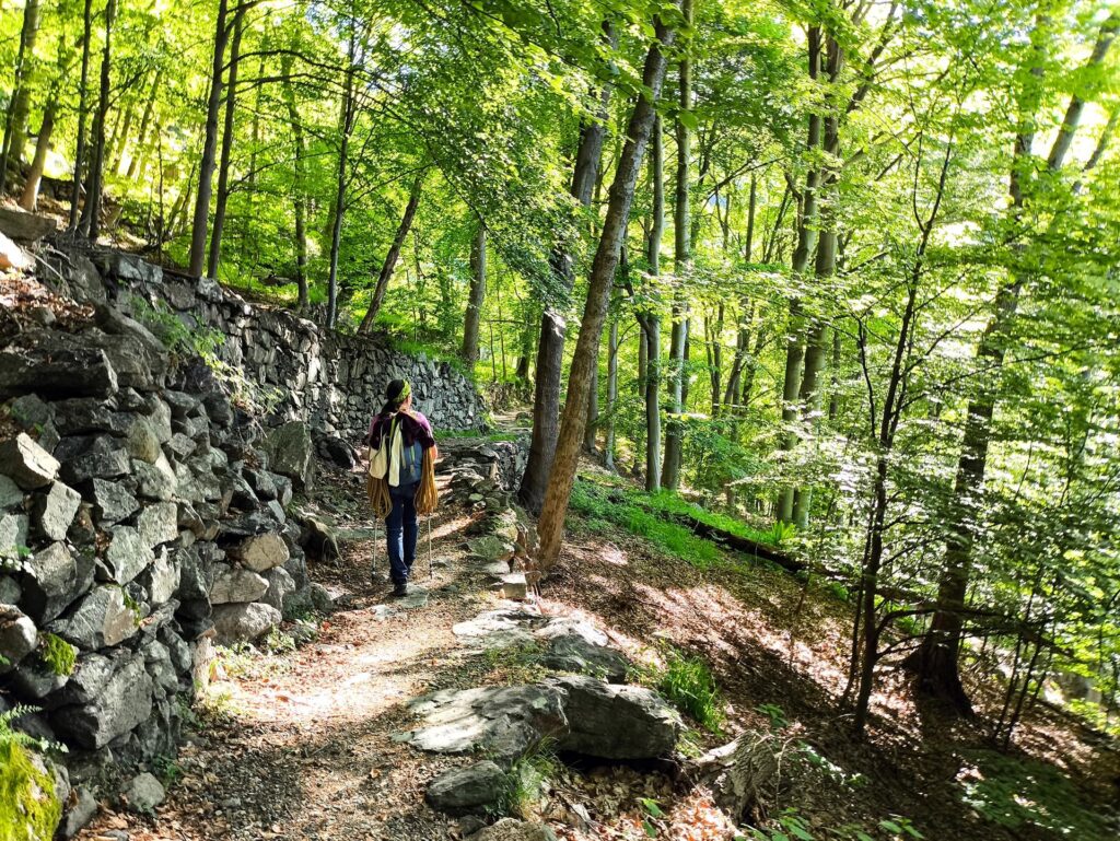 la prima parte di sentiero, nel bosco