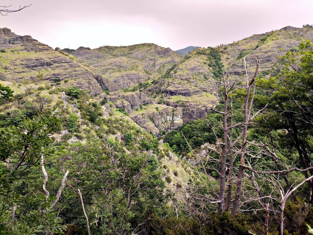 Qui siamo già lungo la linea del ritorno e giunti in quota, iniziamo ad ammirare l&#039;incredibile panorama del canyon dall&#039;alto