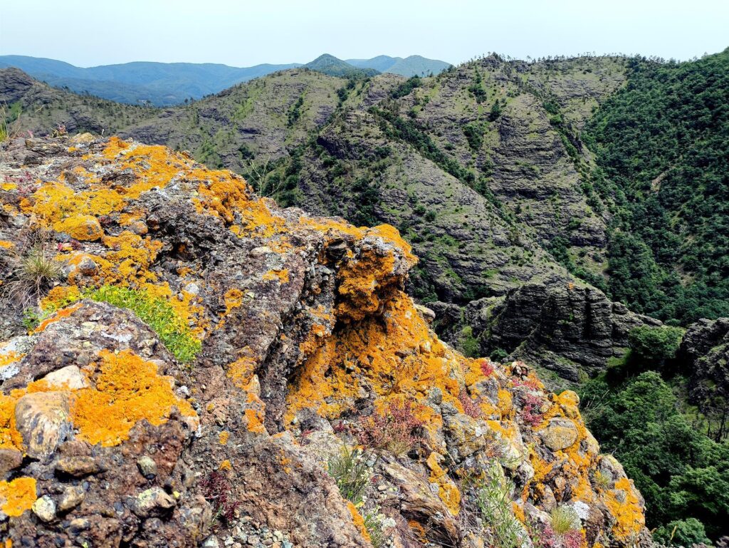 Altro dettaglio dei conglomerati colorati dal punto panoramico
