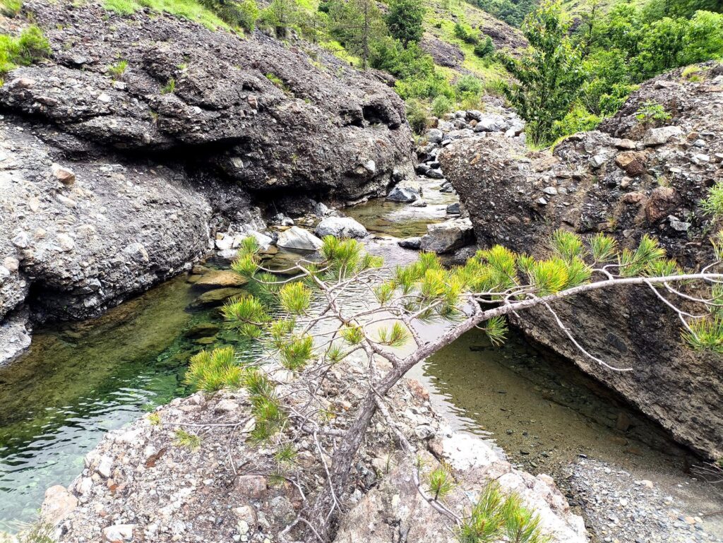 il bellissimo canyon tra conglomerati e splendida vegetazione
