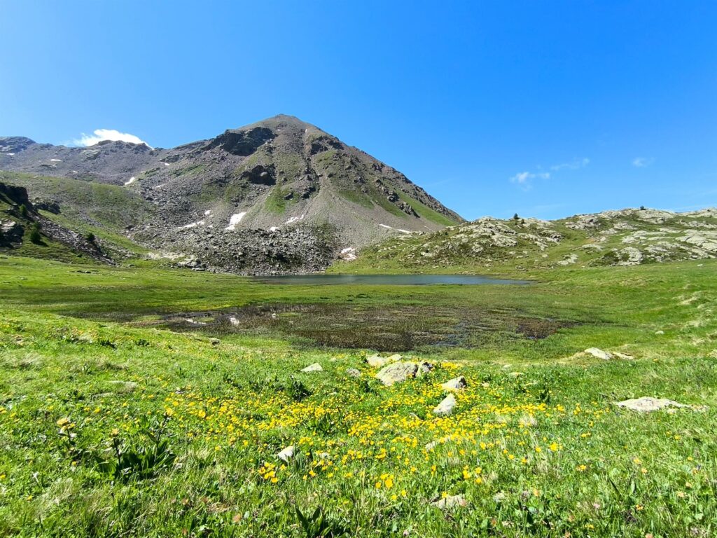 il lago accanto al Bivacco, le paludi fiorite... viene voglia di fermarsi qui, ma noi abbiamo una &quot;missione&quot; :D