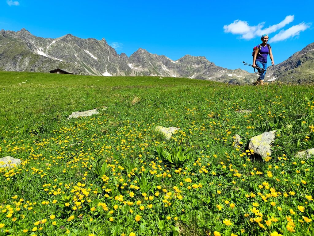 una Erica che si sente una mucca al pascolo