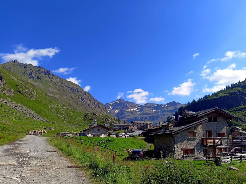 la Località Malghera ci accoglie nella pace di una bellissima giornata di sole, con le mucche che vengono portate al pascolo
