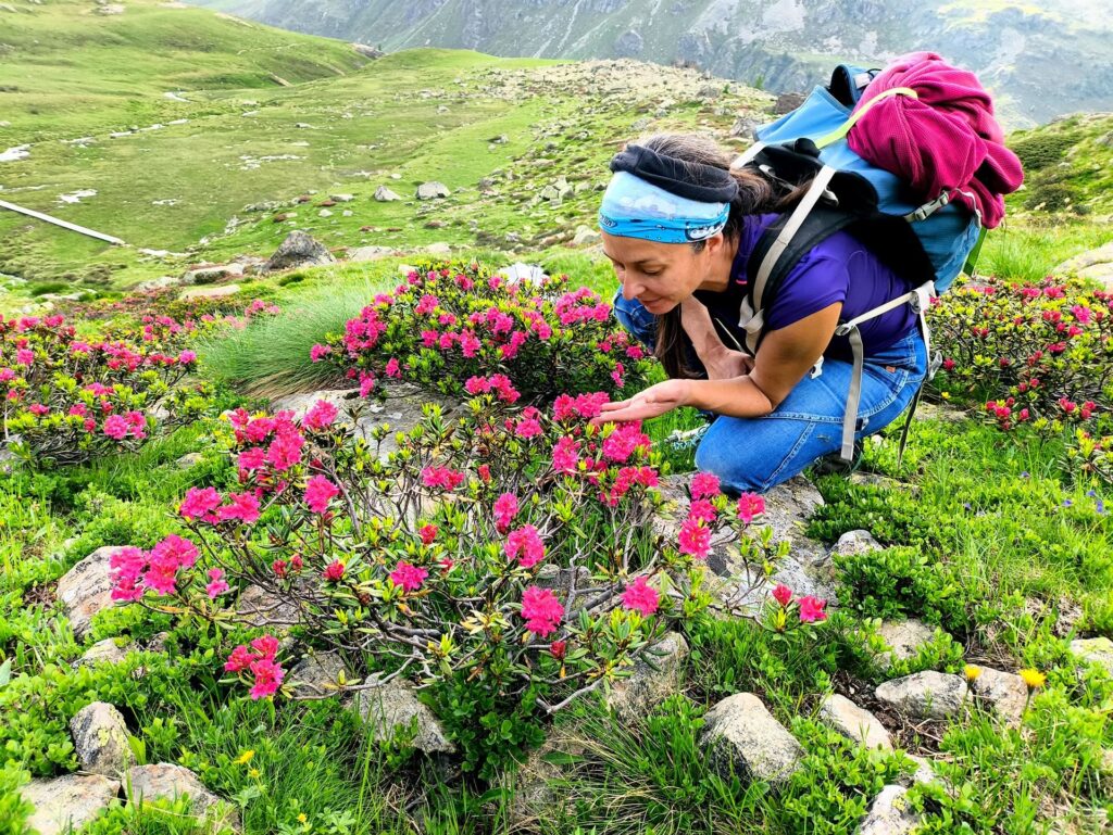quanto può essere bella la montagna