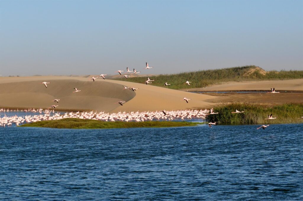 bellissimi con lo sfondo delle dune