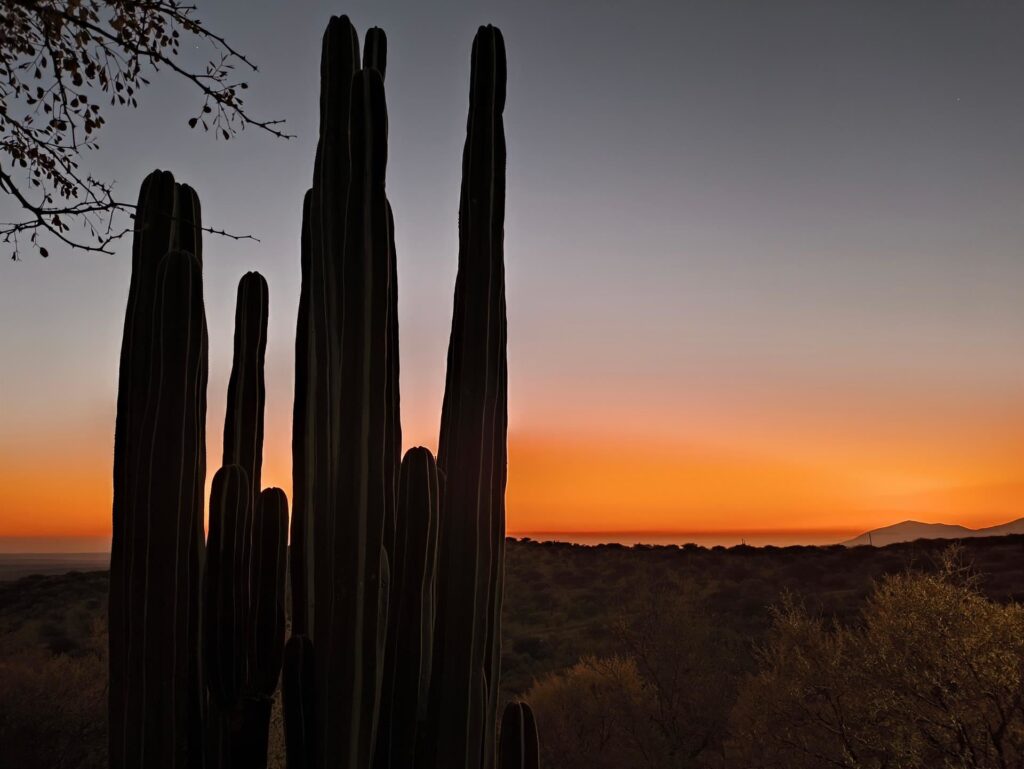 primo tramonto africano