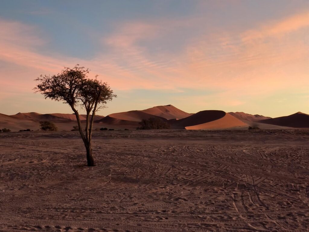 arriviamo incolumi al parcheggio più interno di Sossusvlei dove comincia la meraviglia