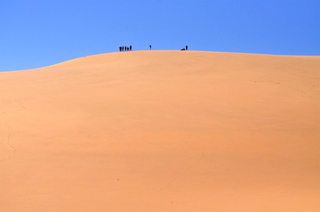 qualcuno si attarda in cima alla duna