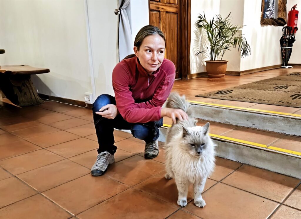 primo gattone africano, di quelli piccoli