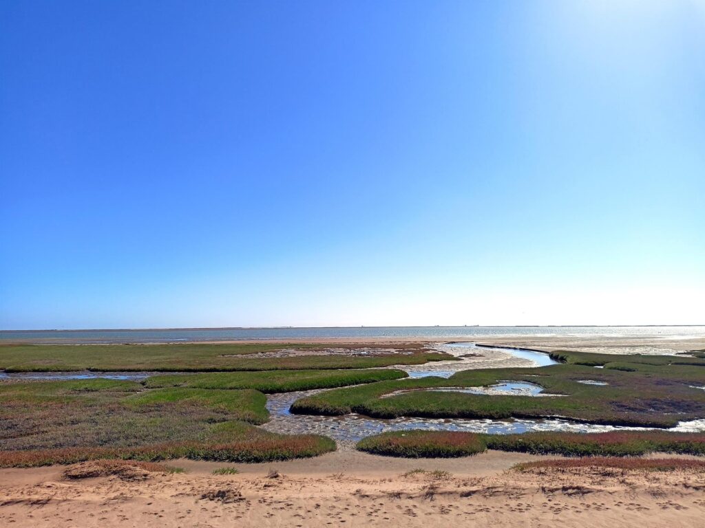 la laguna di Walvis Bay