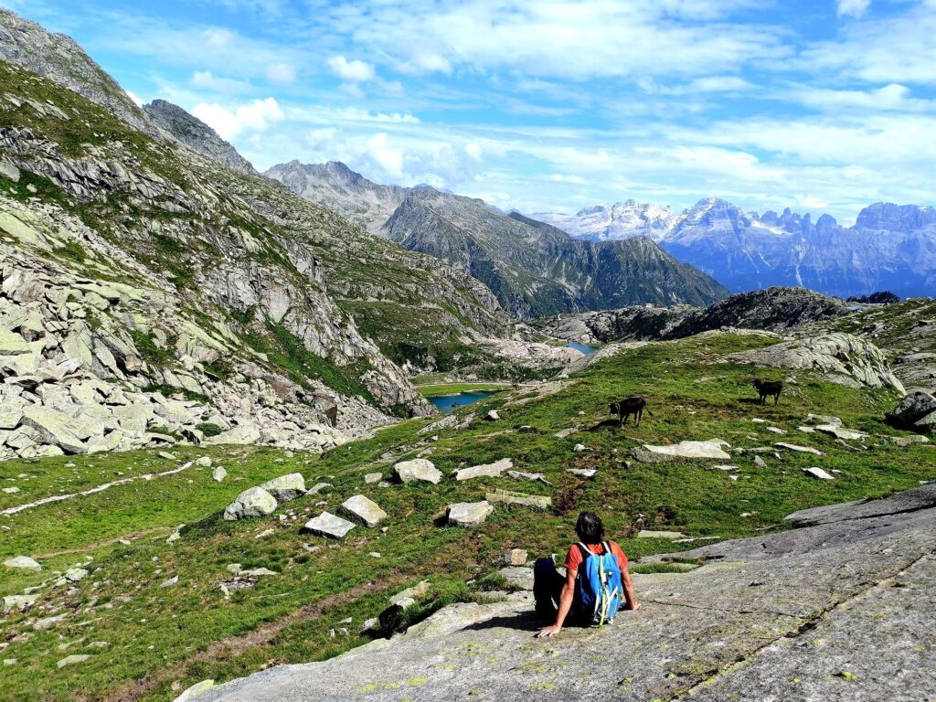 Un po&#039; di riposo guardando le vacche al pascolo