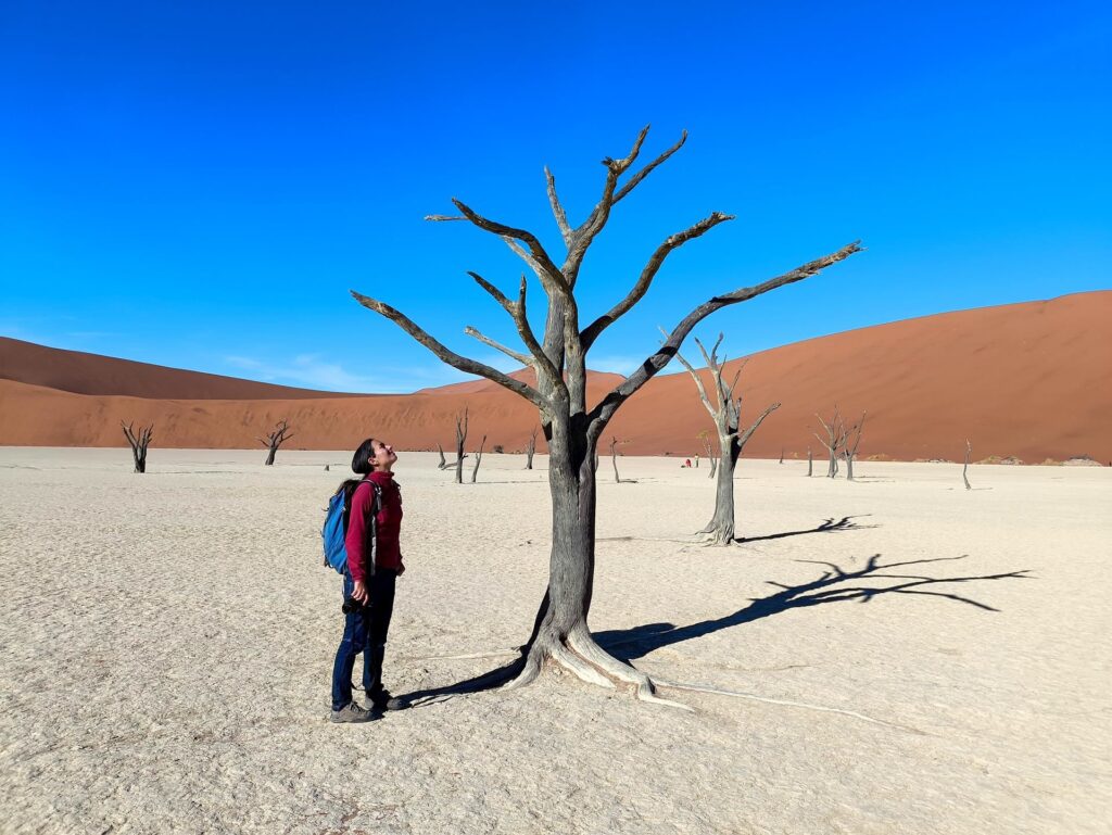 ogni albero è diverso