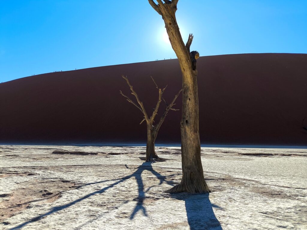 l&#039;unicità di questo luogo, siamo felici d&#039;esserci stati