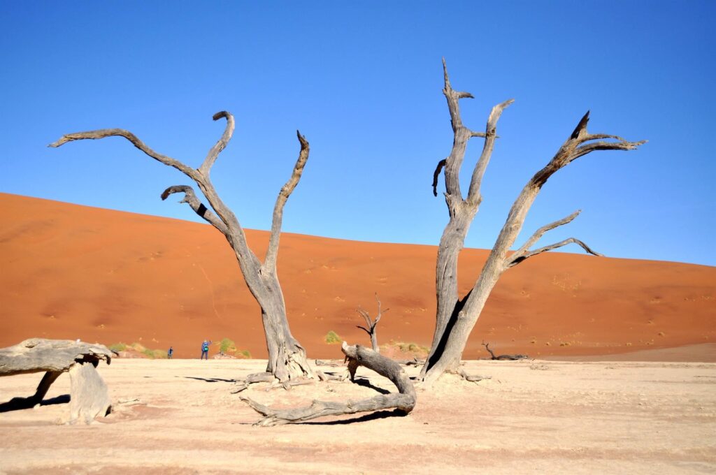 lasciamo Deadvlei quando inizia ad essere troppo frequentata, in cerca di un po&#039; di isolamento