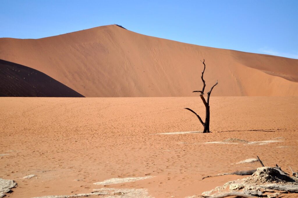 vicino a Deadvlei c&#039;è una depressione simile, con alberelli più radi, dove non va nessuno