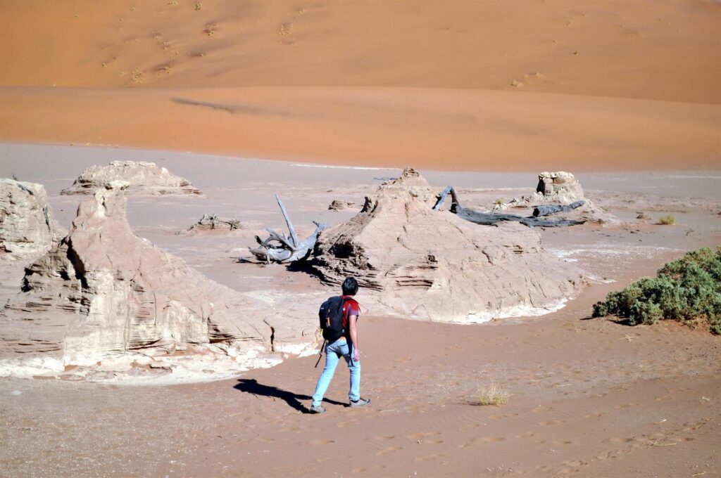 girovagando nel deserto