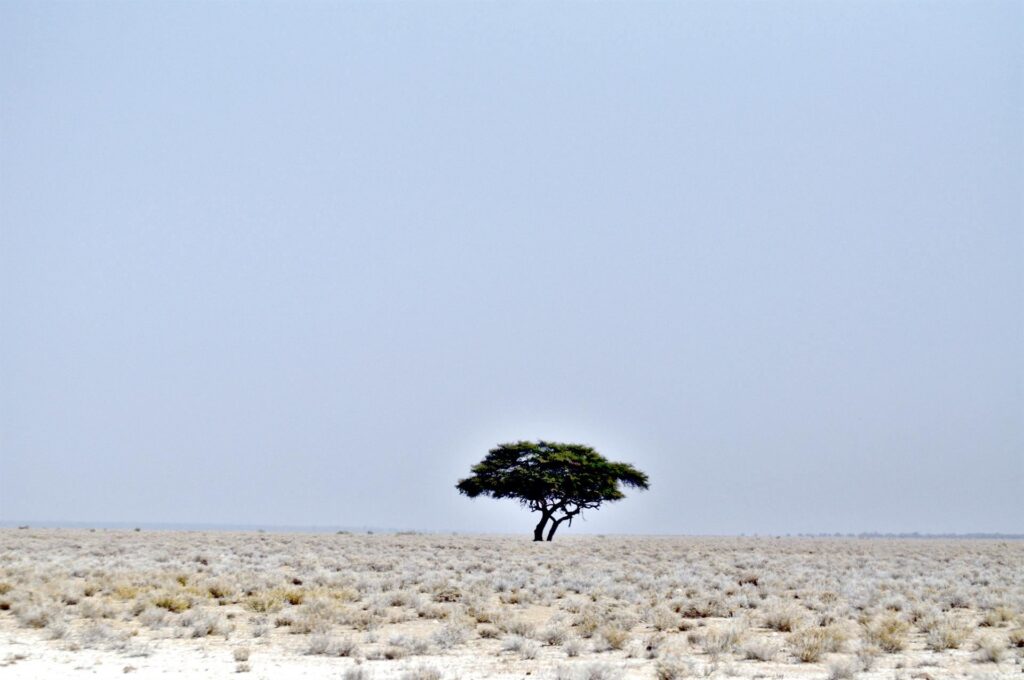 orizzonti africani