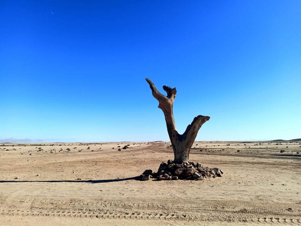 l&#039;interno della Skeleton Coast è indiscutibilmente sempre deserto: ma almeno lasciata la costa riappare il sole