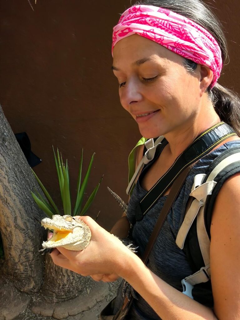 coccodrillo di un anno! la loro crescita è mooooolto lenta