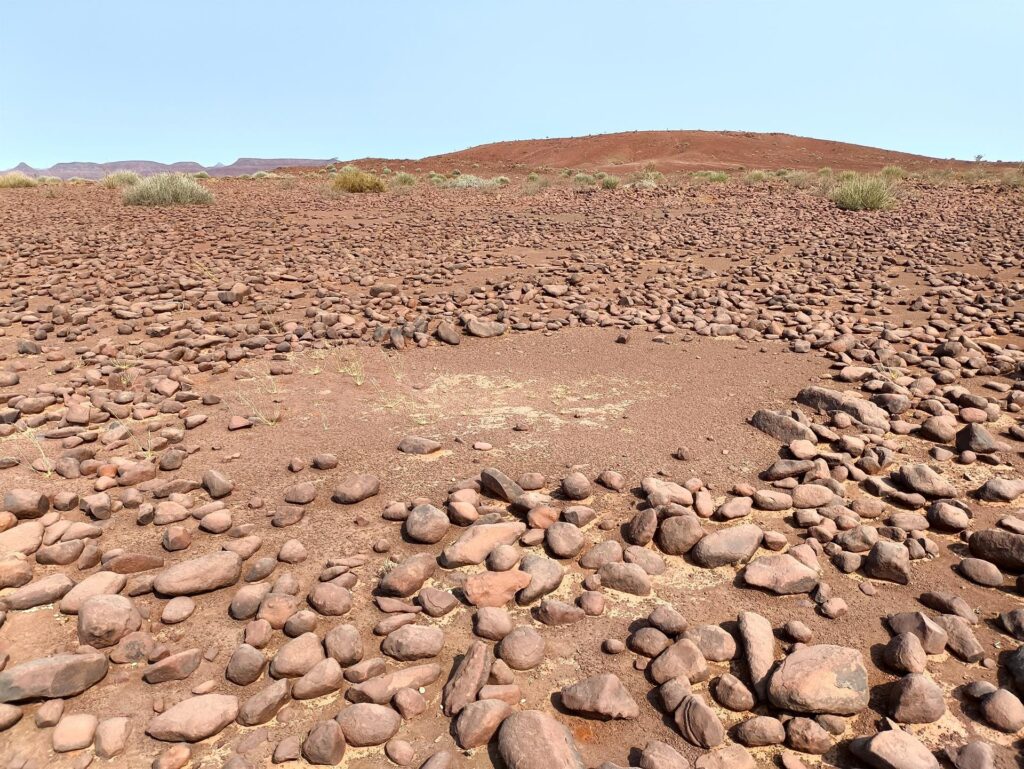 svariati fairy circles in una zona pietrosa