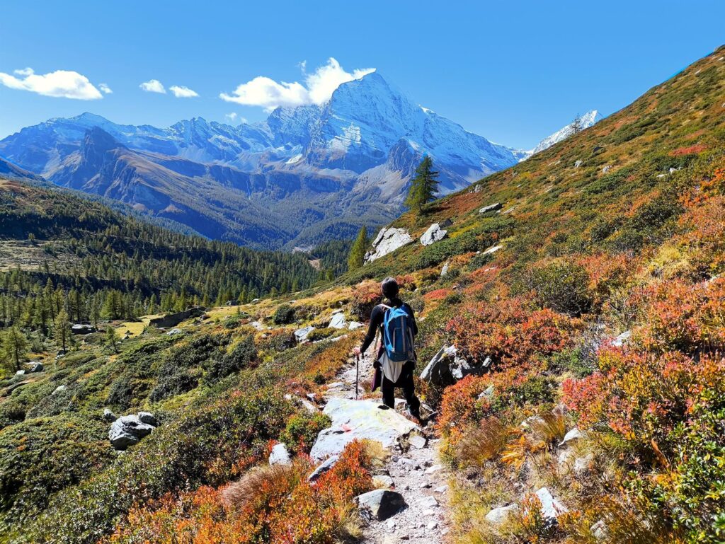 in alto l&#039;autunno un po&#039; si avverte, grazie ai colori dei mirtilli