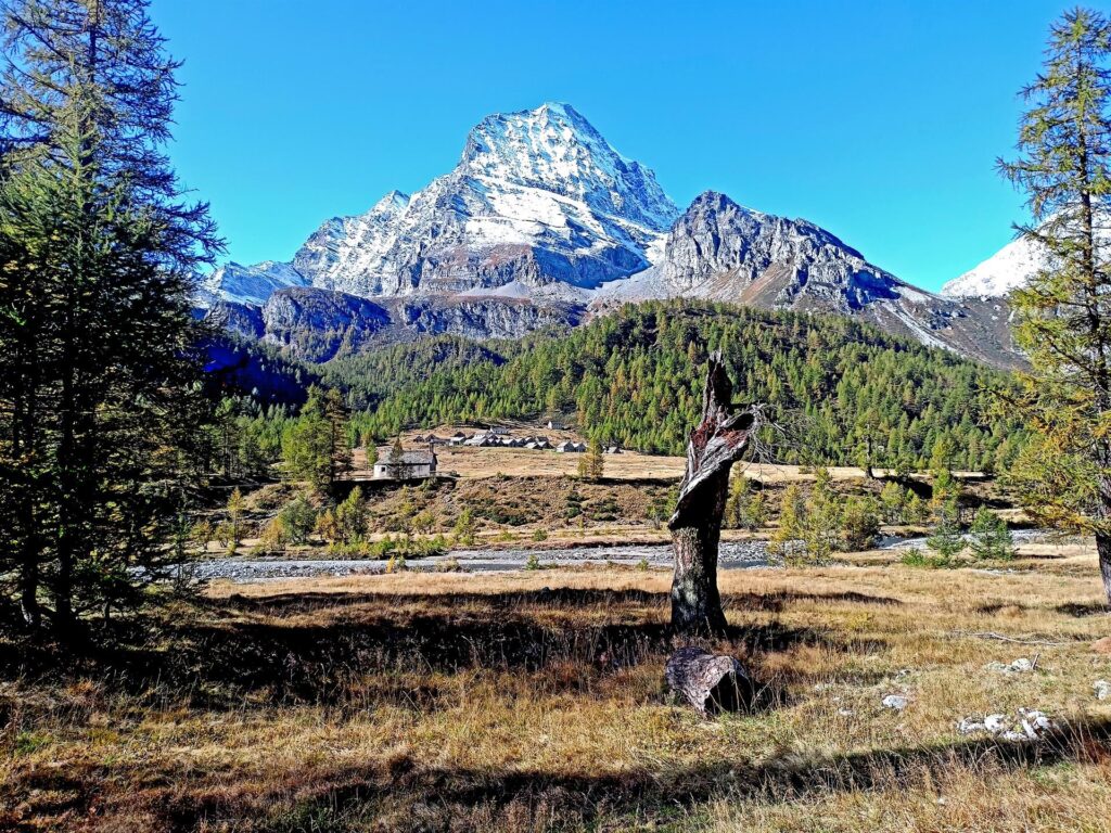 bella vista del Monte Leone, dall&#039;Alpe Veglia