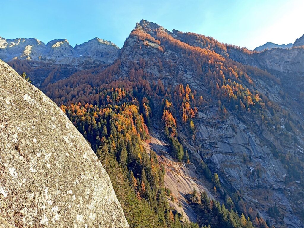 Intanto accanto a noi, boschi di larici in fiamme ;)