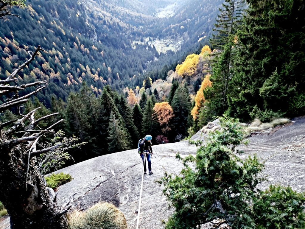 Erica lungo una delle calate