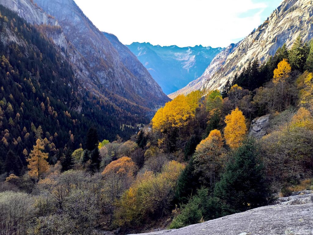 Il bosco sotto di noi non manca certo di colorazione ;)