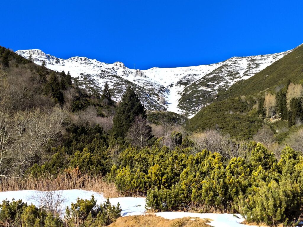 Il canalone Osanna visto da poco prima di entrare nel bosco di mughi