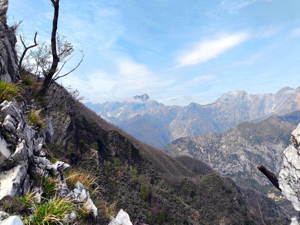 bella vista sulle Apuane (dovrebbe essere il monte Sagro?)