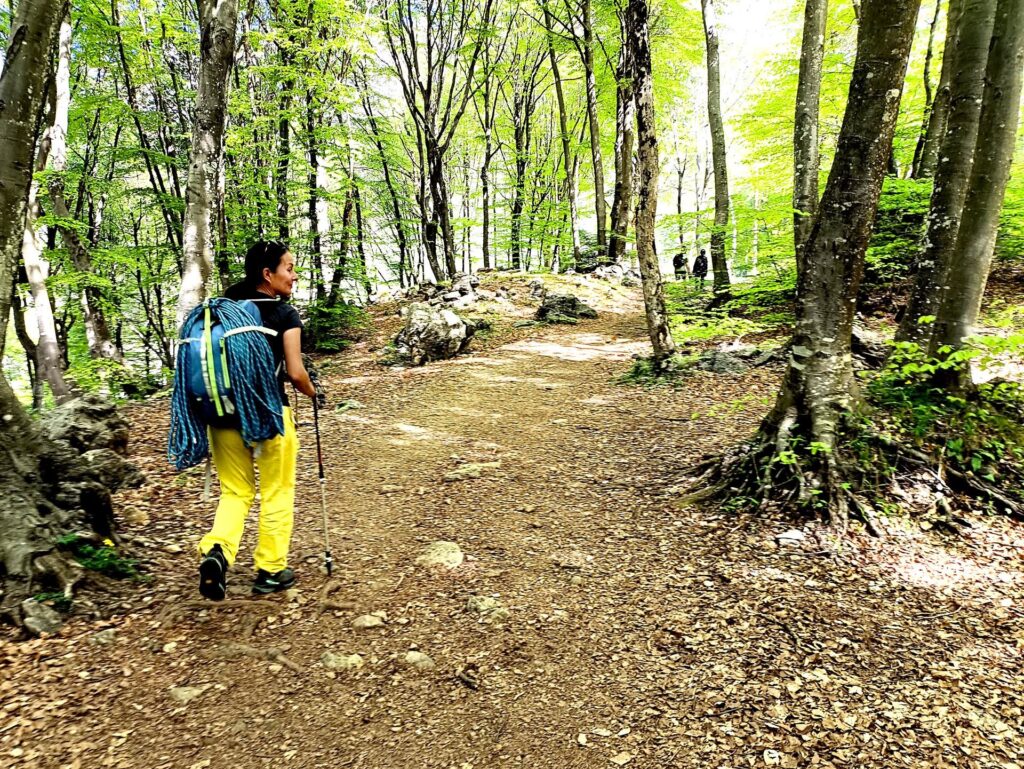 la prima parte di avvicinamento nel bosco