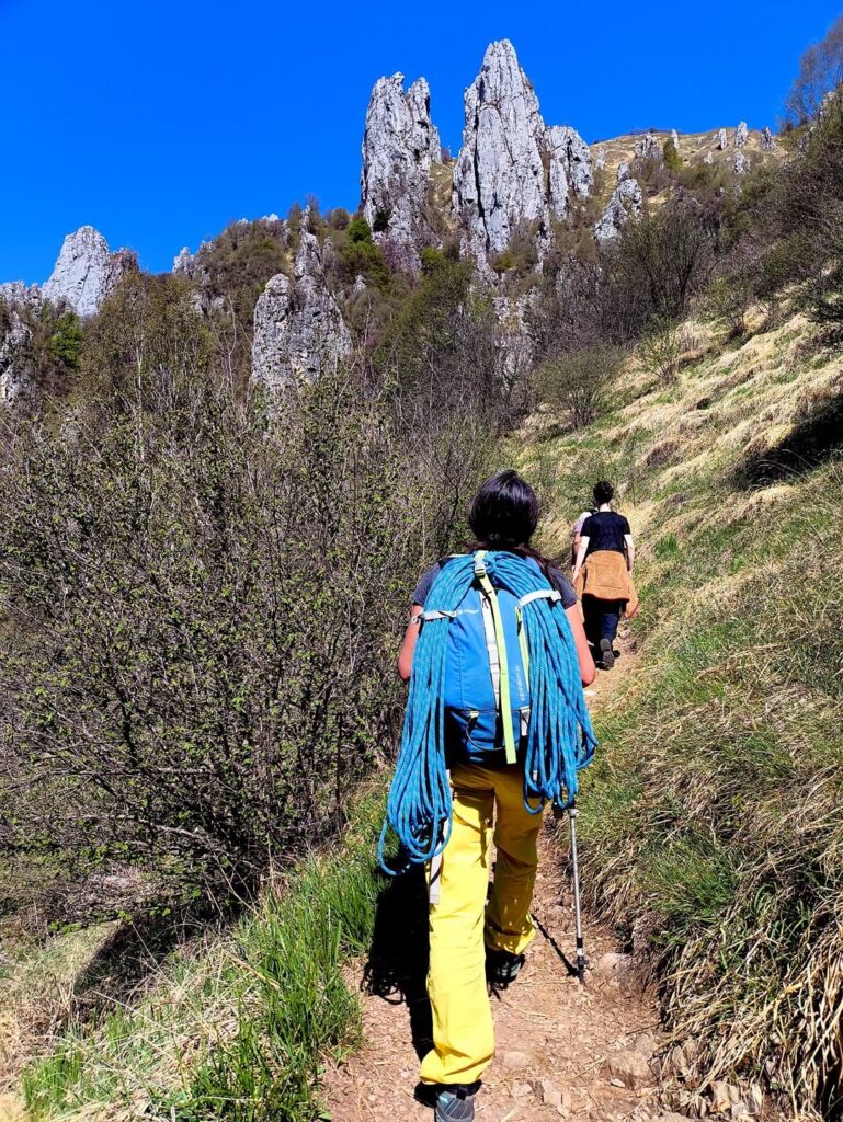 usciti dal bosco si è in vista dei torrioni: il nostro è quello a destra