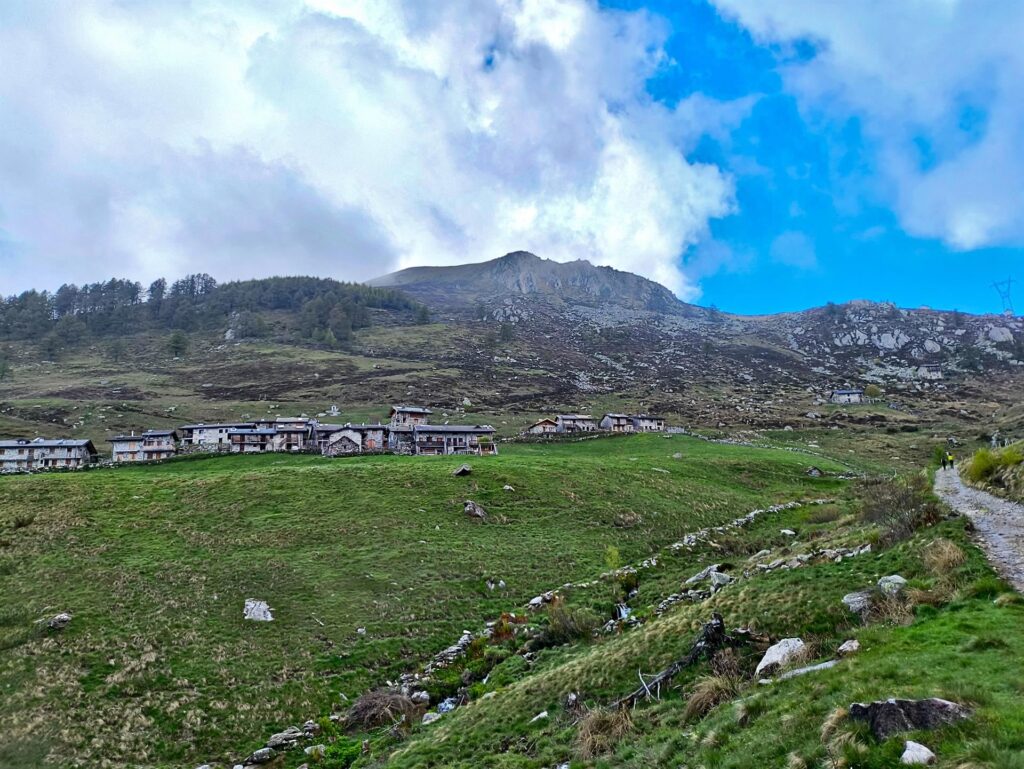 In circa 45 minuti si raggiunge l&#039;alpe di Mezzo, poco sotto la cima del Berlinghera