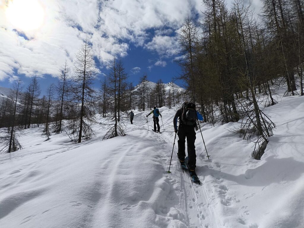 Il primo tratto risale nel bosco con pendenza modesta ma costante